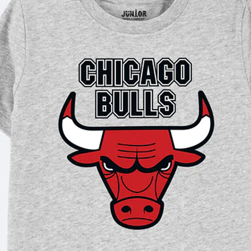 Chicago Bulls Graphic T-Shirt 001